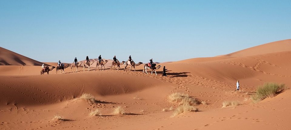 L'Egypte et les merveilles du Nil